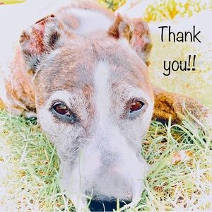 Thank you for checking out my closet!!